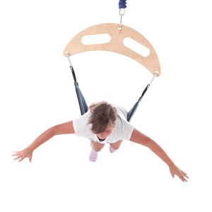 Bungee Frog Swing